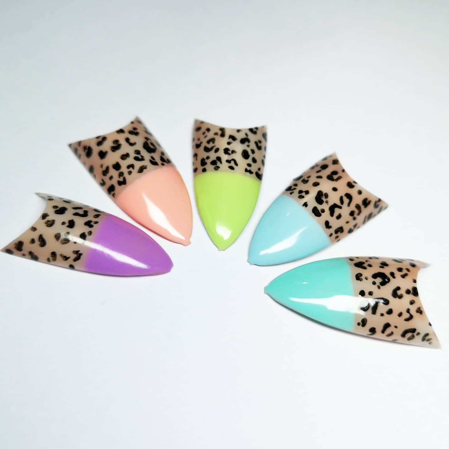 New Evo Pastels & Leopard Print