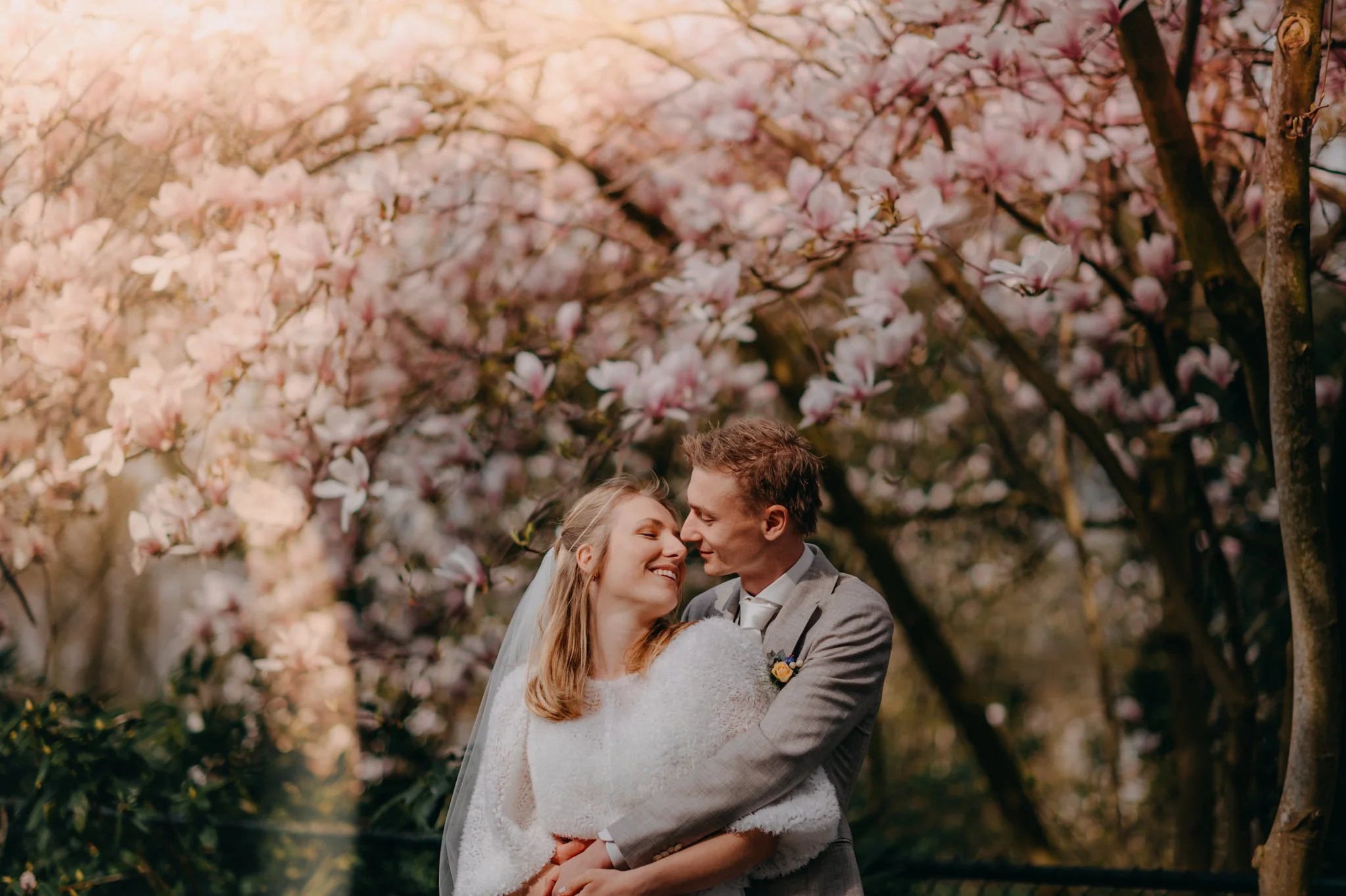 A newlywed couple embracing and smiling under blooming pink cherry blossom trees in a park during spring.
