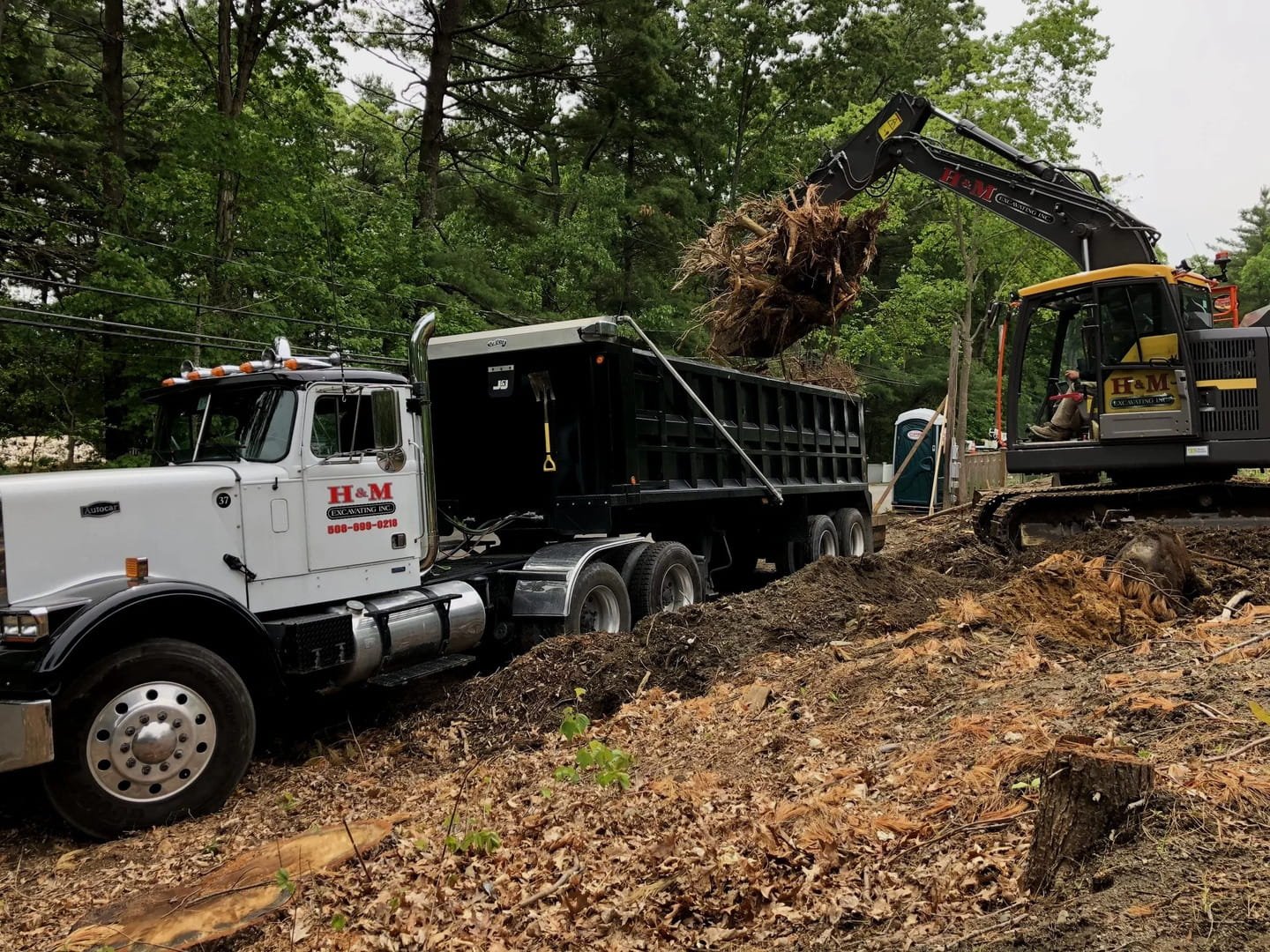 A front loader with a black bucket is lifting a large uprooted tree and its roots into a black dump truck at a wooded construction site. The loader and dump truck are part of an excavation operation by H&M Excavating Inc.