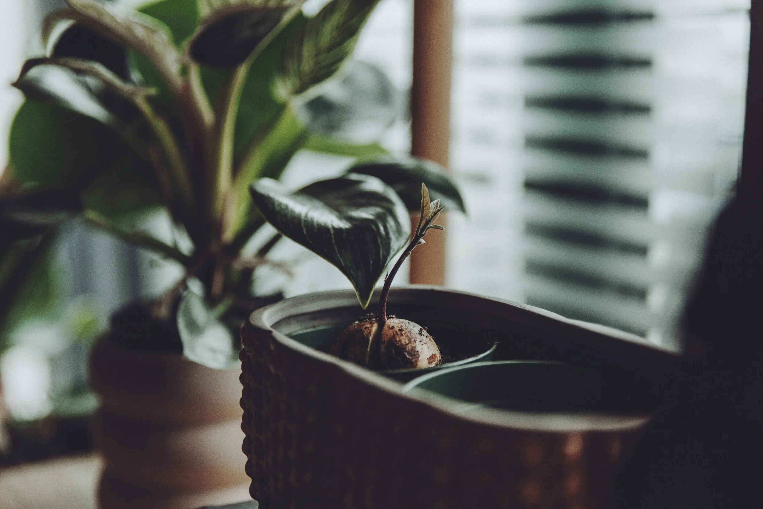 Why You Can't Only Grow From Referrals