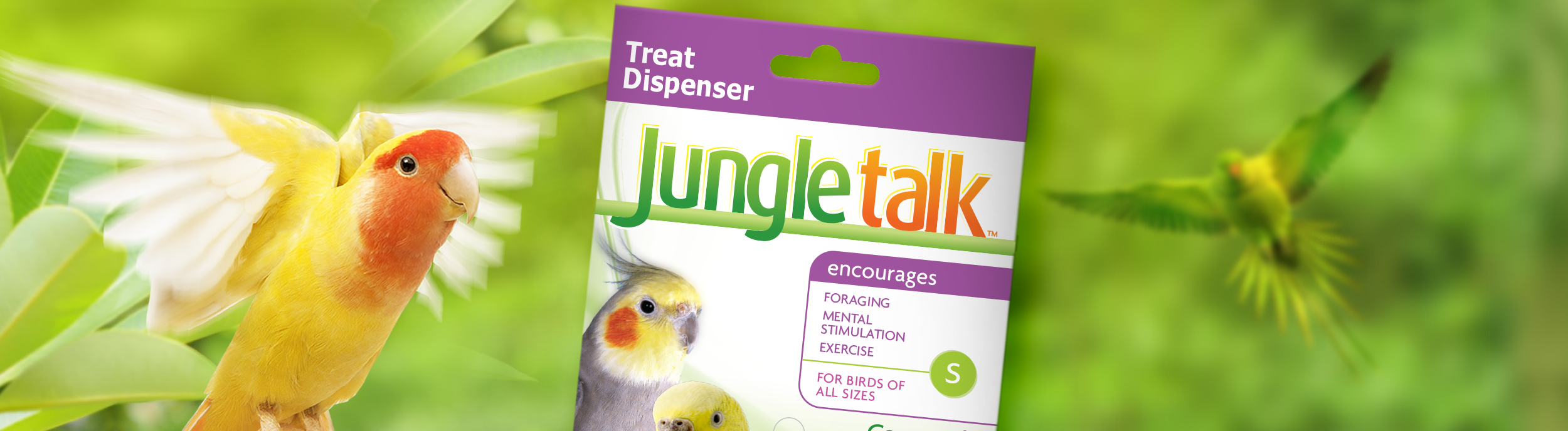 Jungle Talk_Header.png