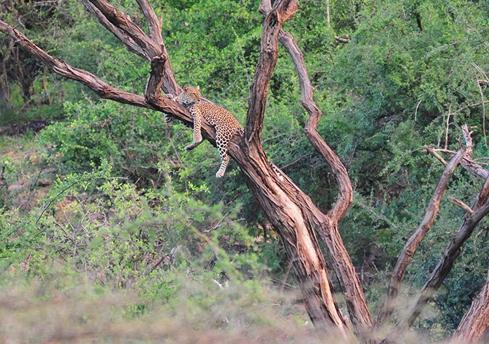 Why the rainy season is the best season.
