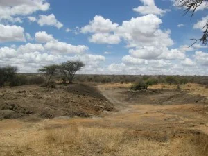 Dam for Wildlife but still no rain