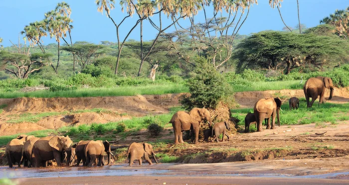 There is no conservation issue more pressing than population.