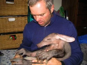 Baby Aardvark Rescue