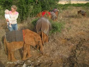Baby Elephant Rescue: Part 3