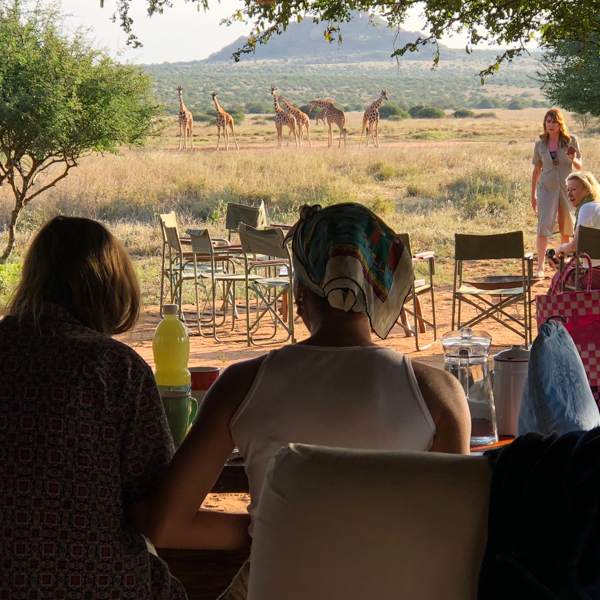 tumarengiraffes.jpg