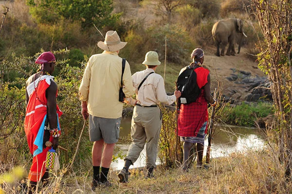 Guide Testing: Why I don't like Standardized Testing for Safari Guides