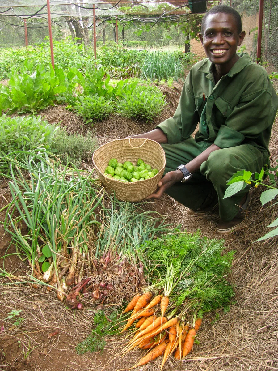 Covid and how Africa needs to tell its own positive story