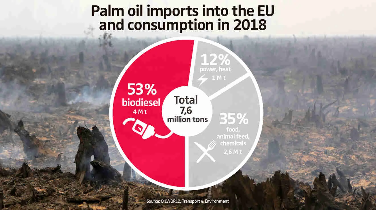 How Palm Oil in EU Biodiesel is fueling both the climate and biodiversity crisis 