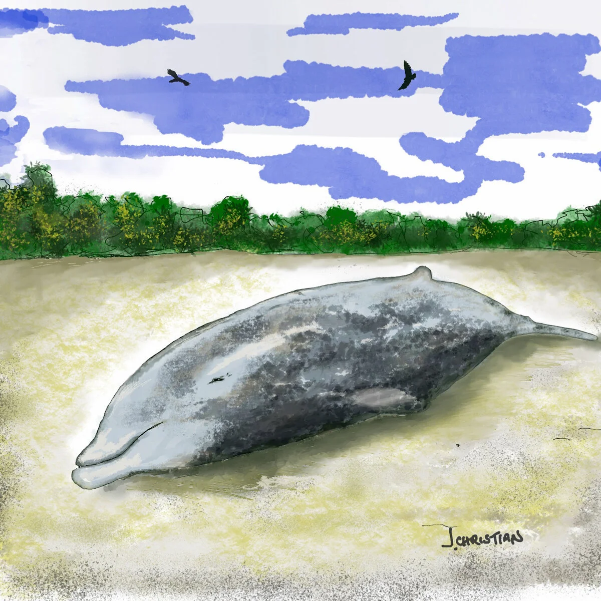 How did a Beaked Whale become fossilized west of Lake Turkana?