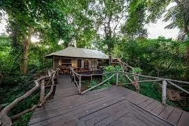 Rhino River Camp3.jpeg