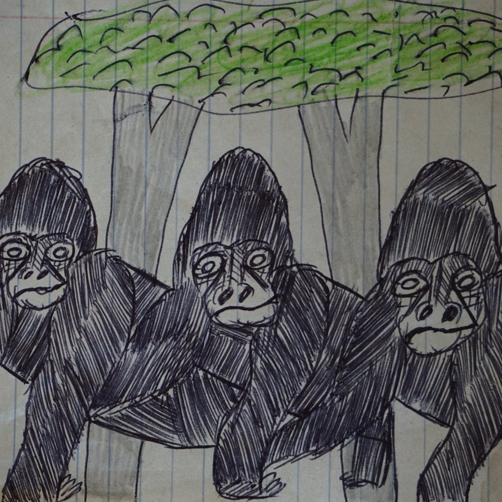 gorilladrawings-1.jpg