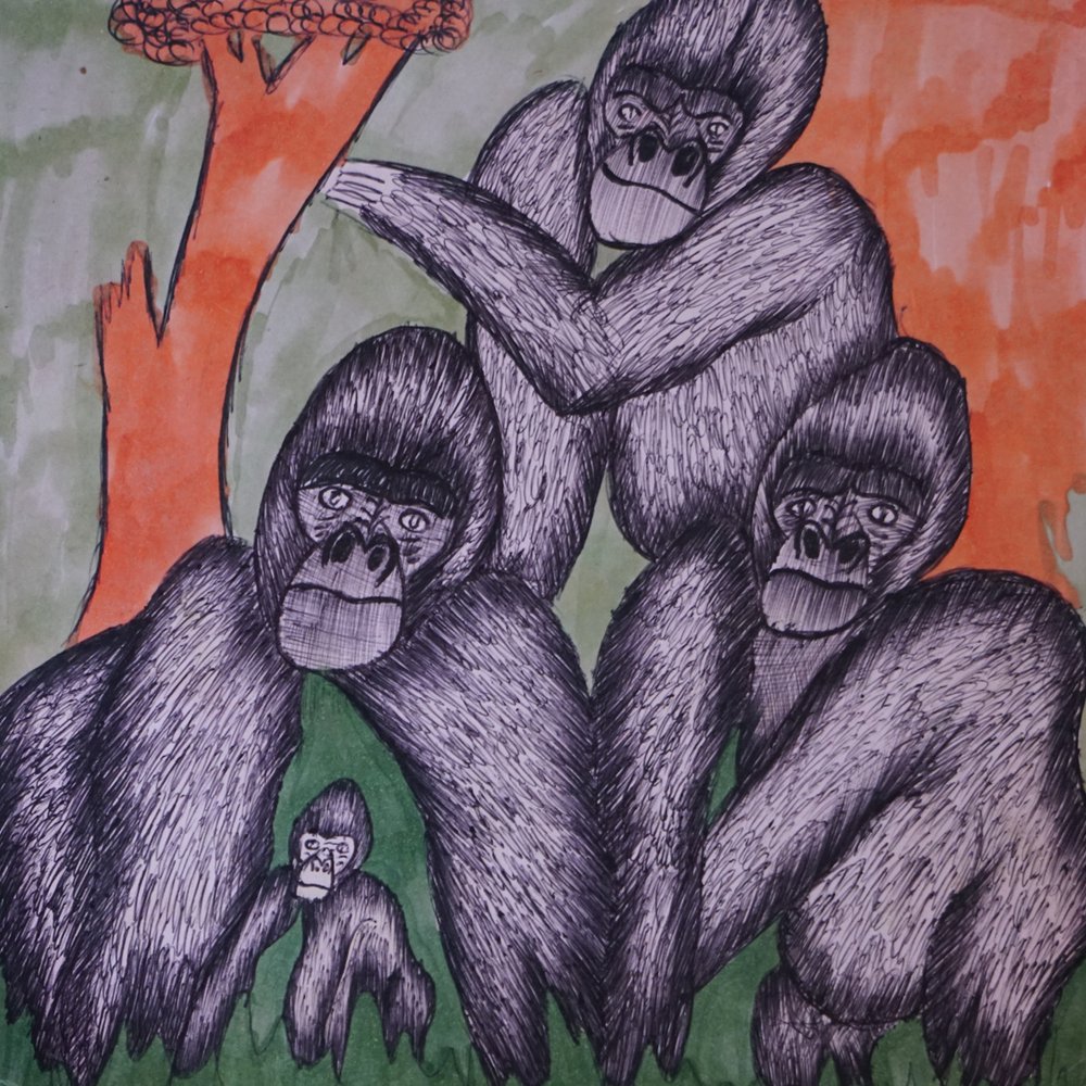 gorilladrawings-11.jpg