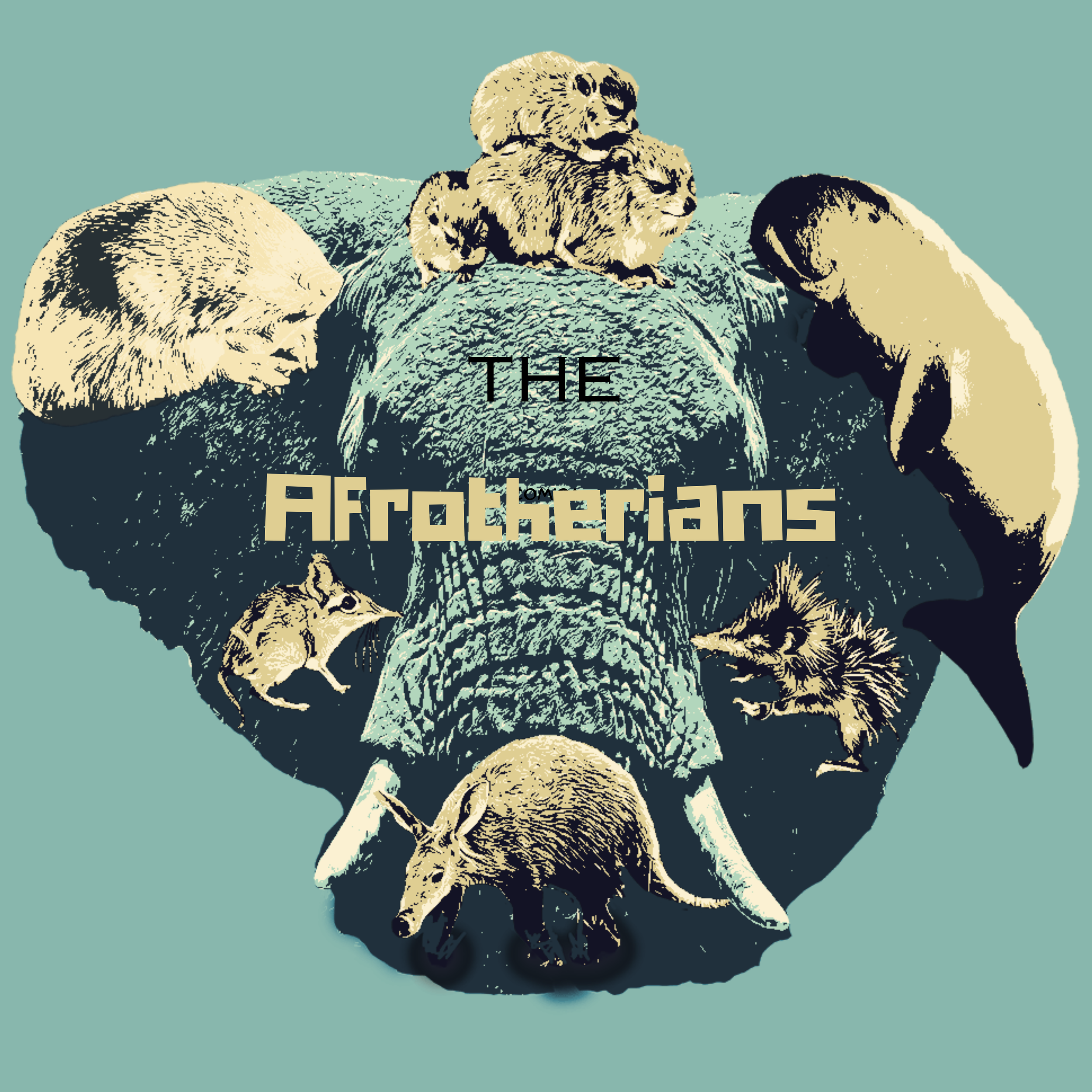 Who are the Afrotherians? - If you can know one thing about safari that most do not, it is this.