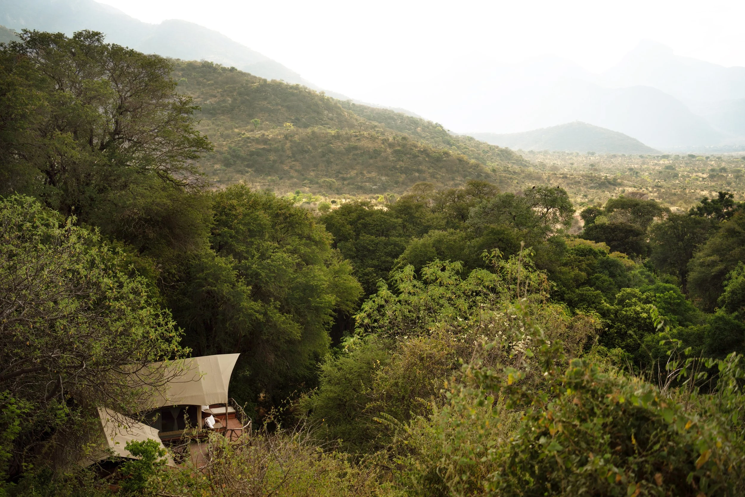 Sarara Treehouses _ Life in the trees _ Photo by Simon Pocock.jpeg
