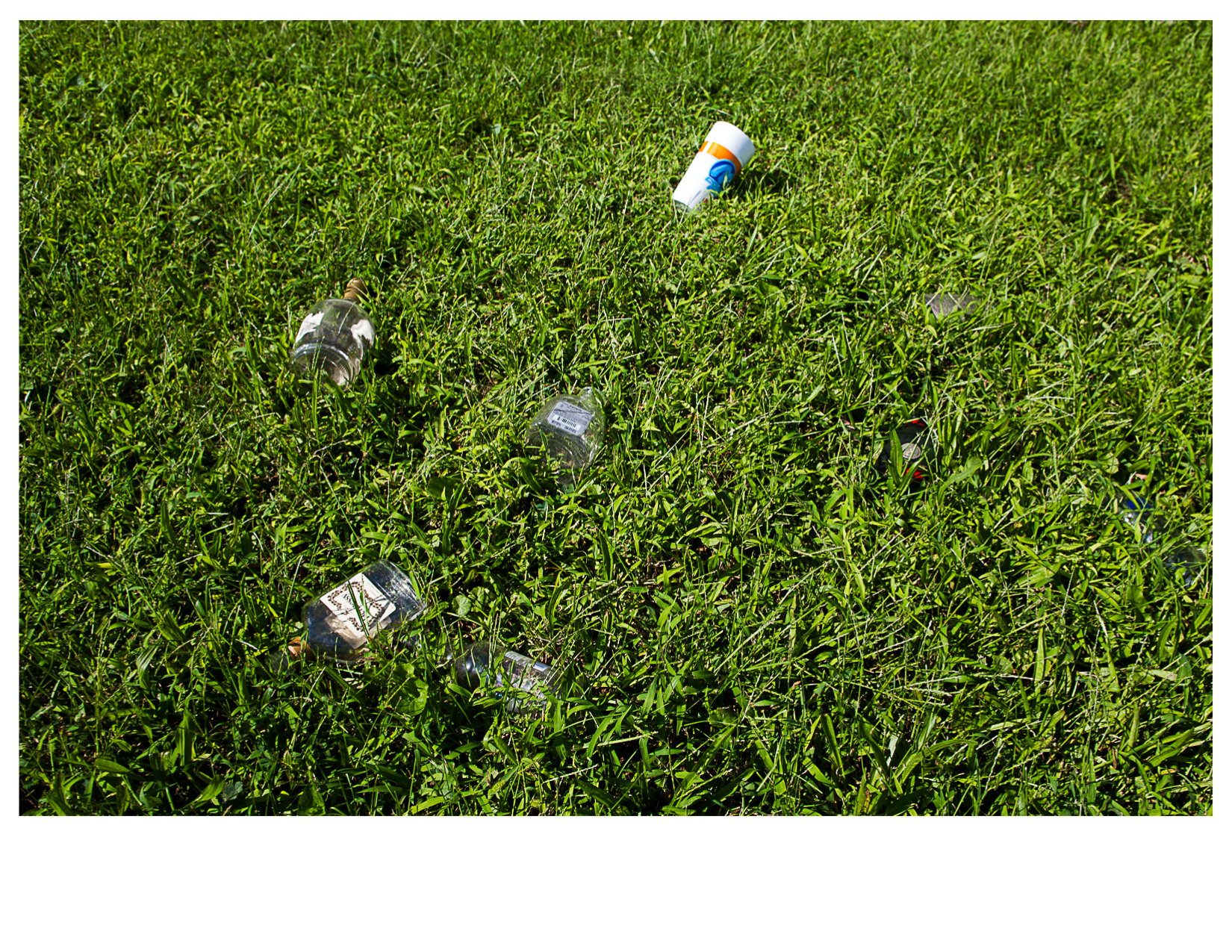 Discarded Liquor Bottles on Lawn, East St. Louis, IL