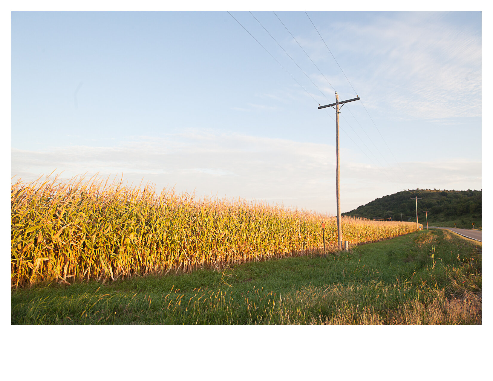 Corn Field and Telephone Poles along KS Highway 57, Outside Granview, KS