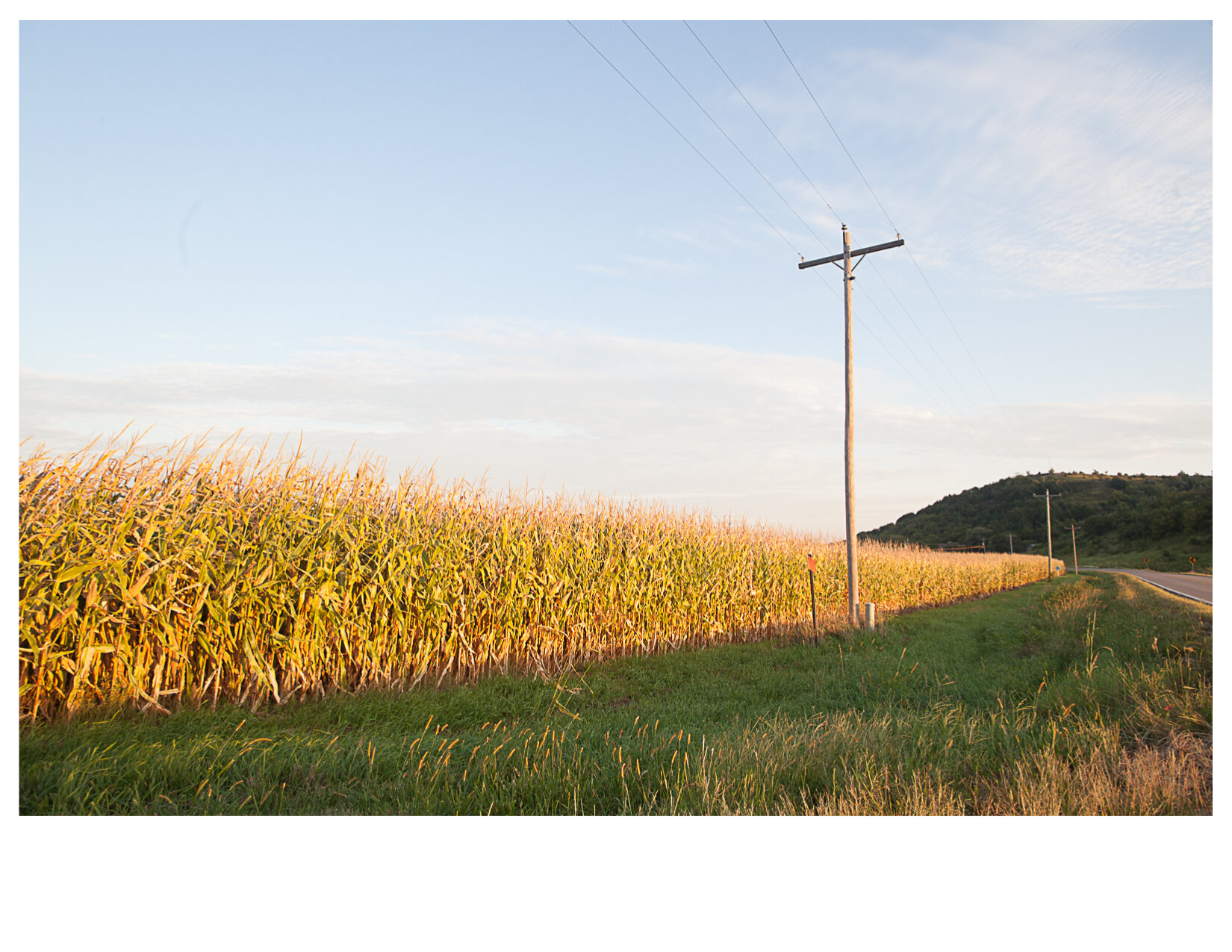 Corn Field and Telephone Poles along Kansas Highway 57, Outside Granview, KS
