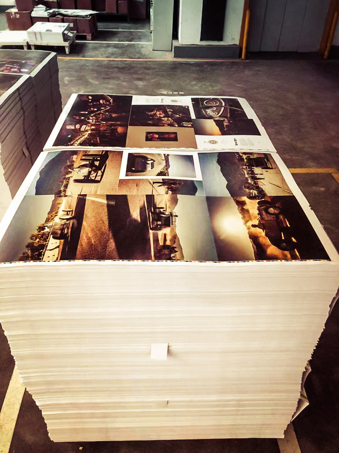 Squeezed Up Book Printing-4.jpg