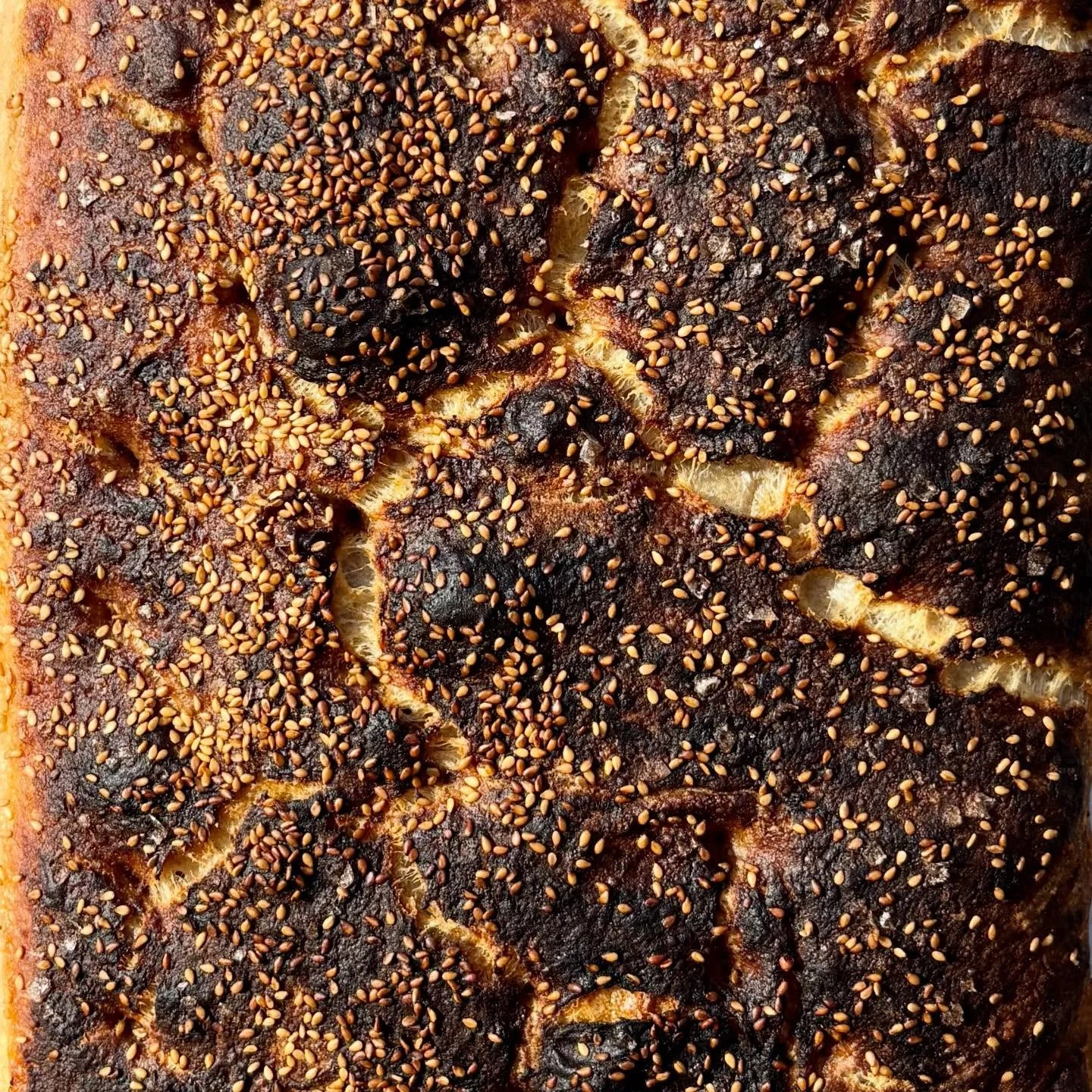 Back in November @deeprootscpsfarm asked us to make some focaccia for their Black Garlic Experience dinner. We love those guys so much and were honored to do so, so we really wanted to make it great. This Black Garlic Miso Focaccia is what we came up