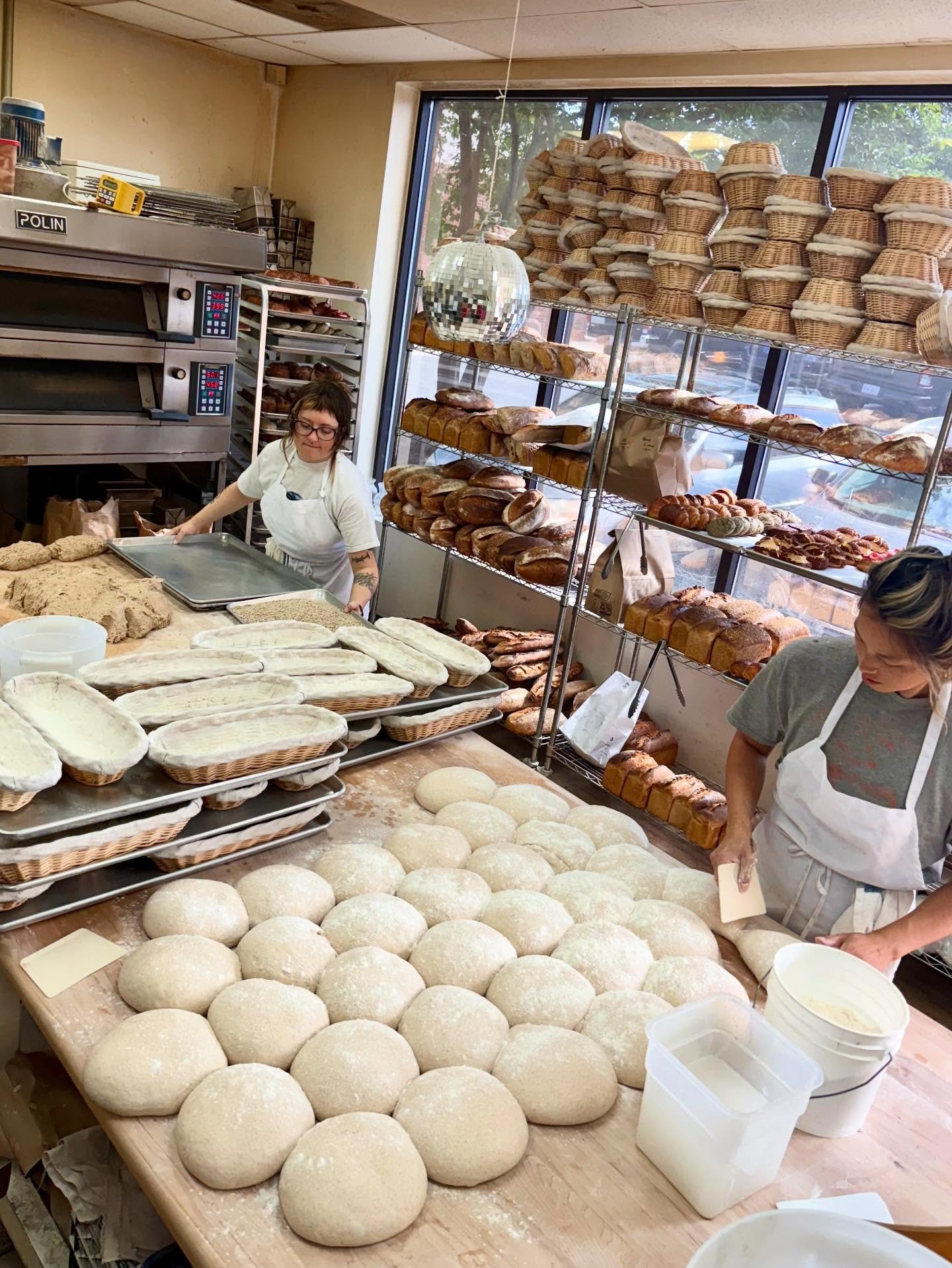 SPRING
Something new in the air today, perhaps the struggle of the bud to become a leaf. Nearly two weeks late it invaded the air but then what is two weeks to life herself? On a cool night there is a break from the struggle of becoming. I suppose th