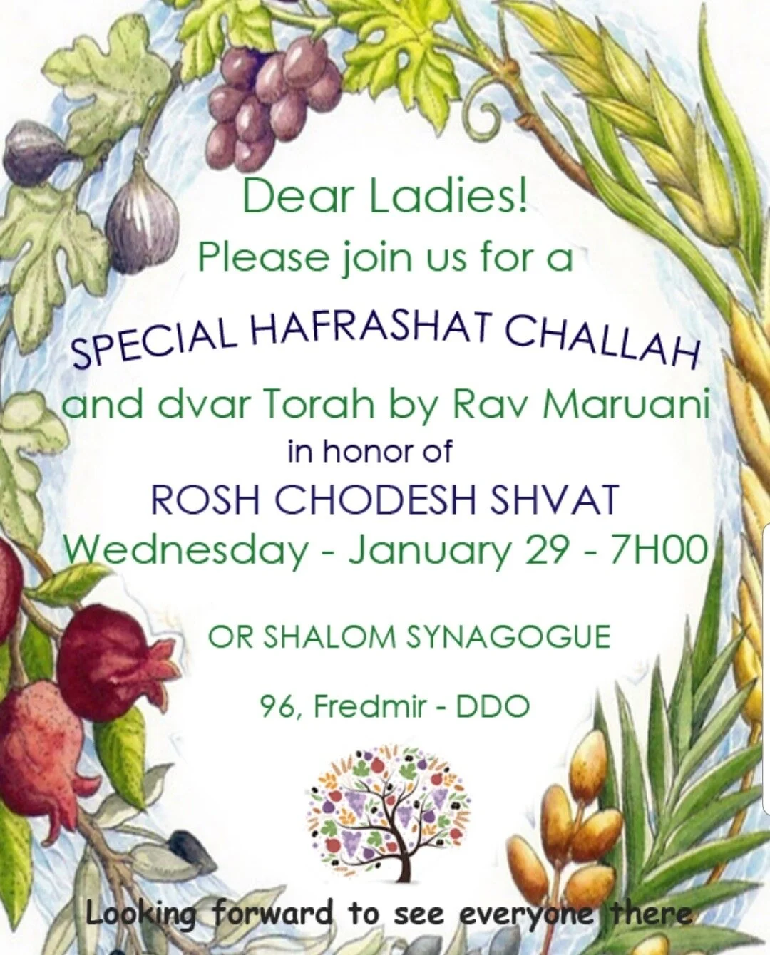 Spéciale Hafrashat Halla