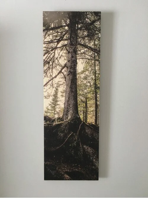 726F9D1E-5B40-4AB4-B1E6-F5330B83D160