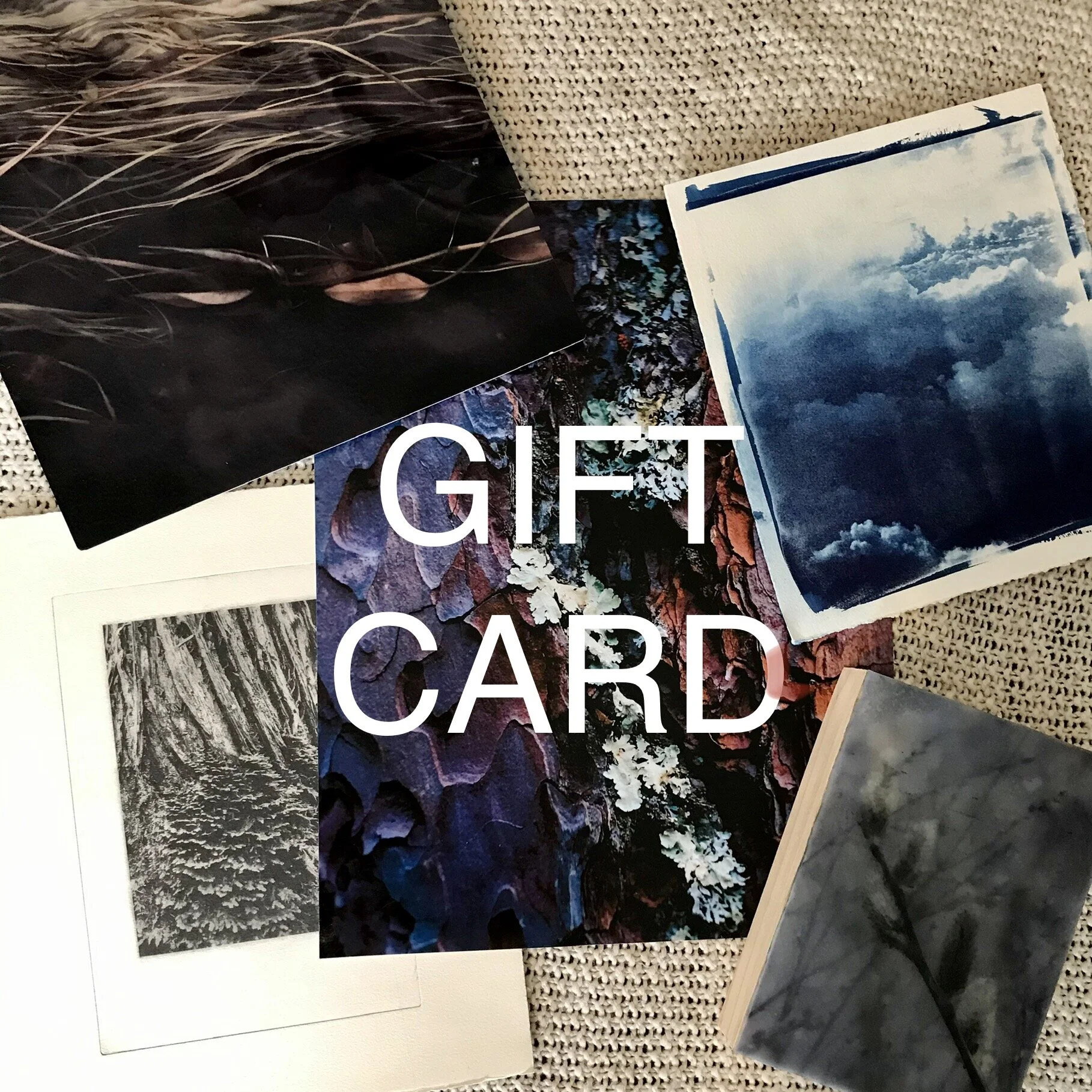 457C3E38-5D8B-42BA-92BD-56F601CCEFD4