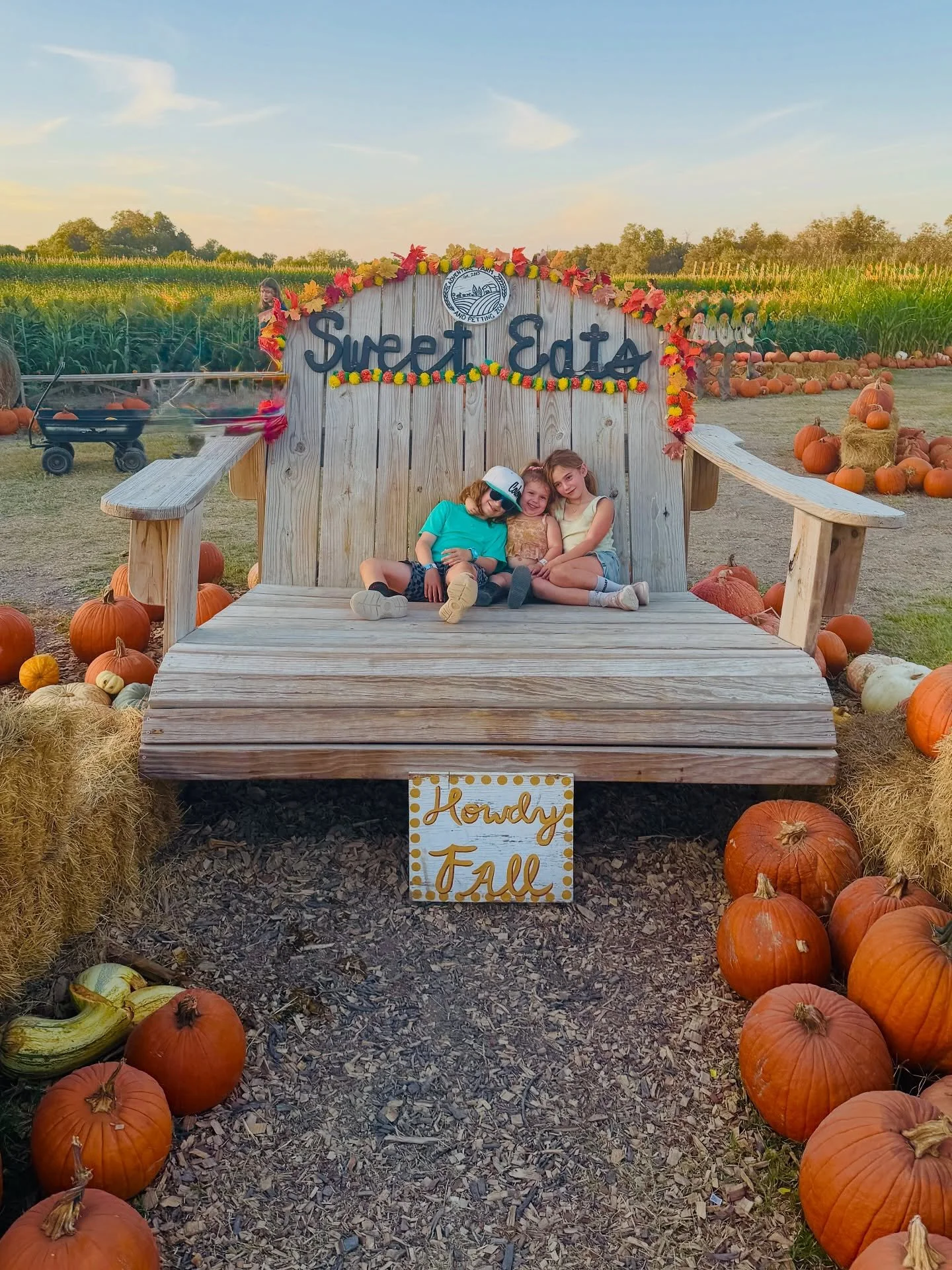 Here are ten things to know before you go to @sweeteatsfruitfarm&rsquo;s Fall Festival with your family: 

1. There are SO many activities to do @sweeteatsfruitfarm, and all included in admission &mdash; one the many reasons this a favorite fall trad