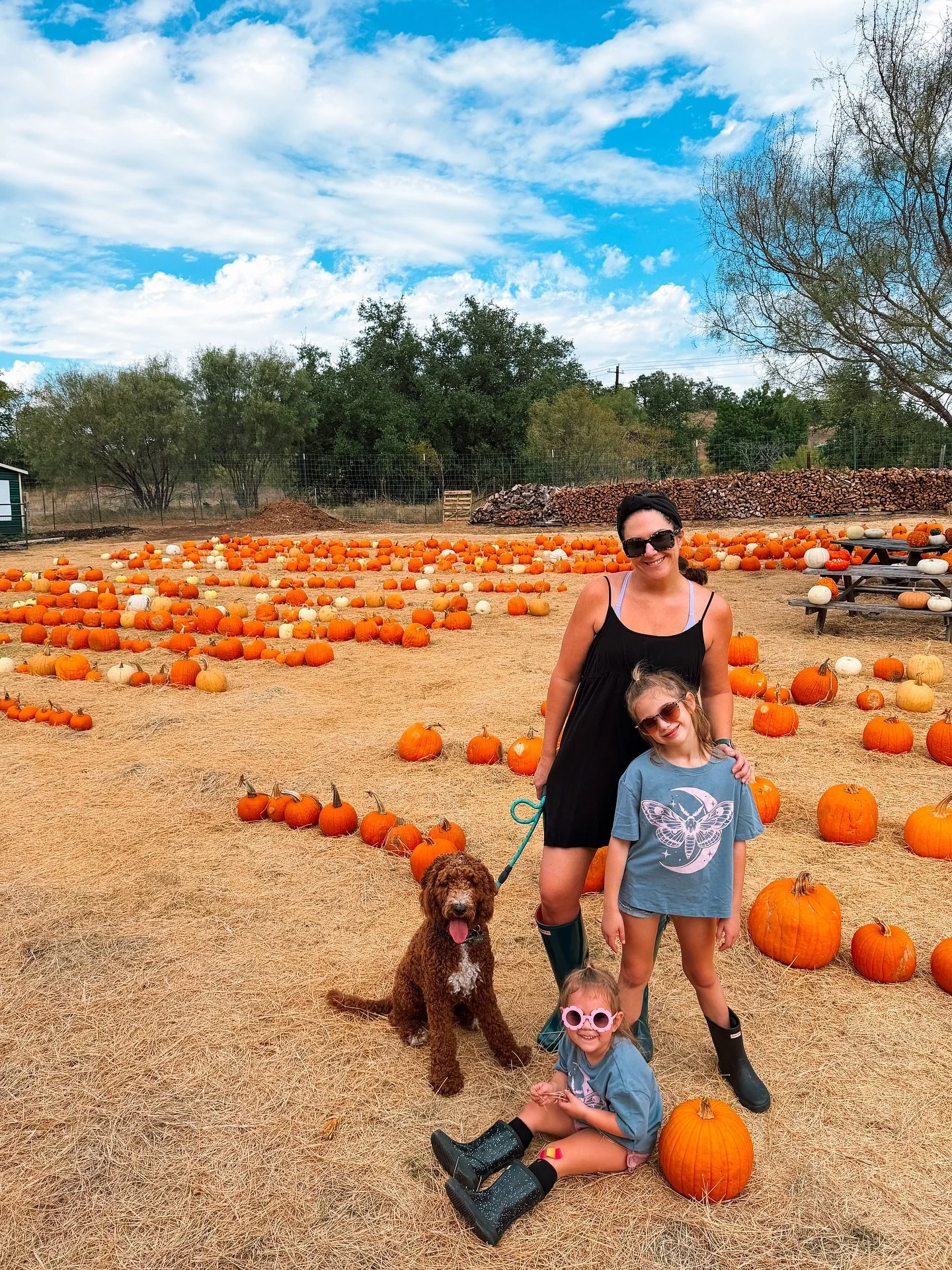 Happy Halloween week y&rsquo;all! 🎃 We&rsquo;re running later than usual this year but we finally picked our pumpkins this weekend. Hoping this week brings actual fall weather to Austin. 🍂 

In the last photo Luna said &ldquo;look at my boobs!&rdqu