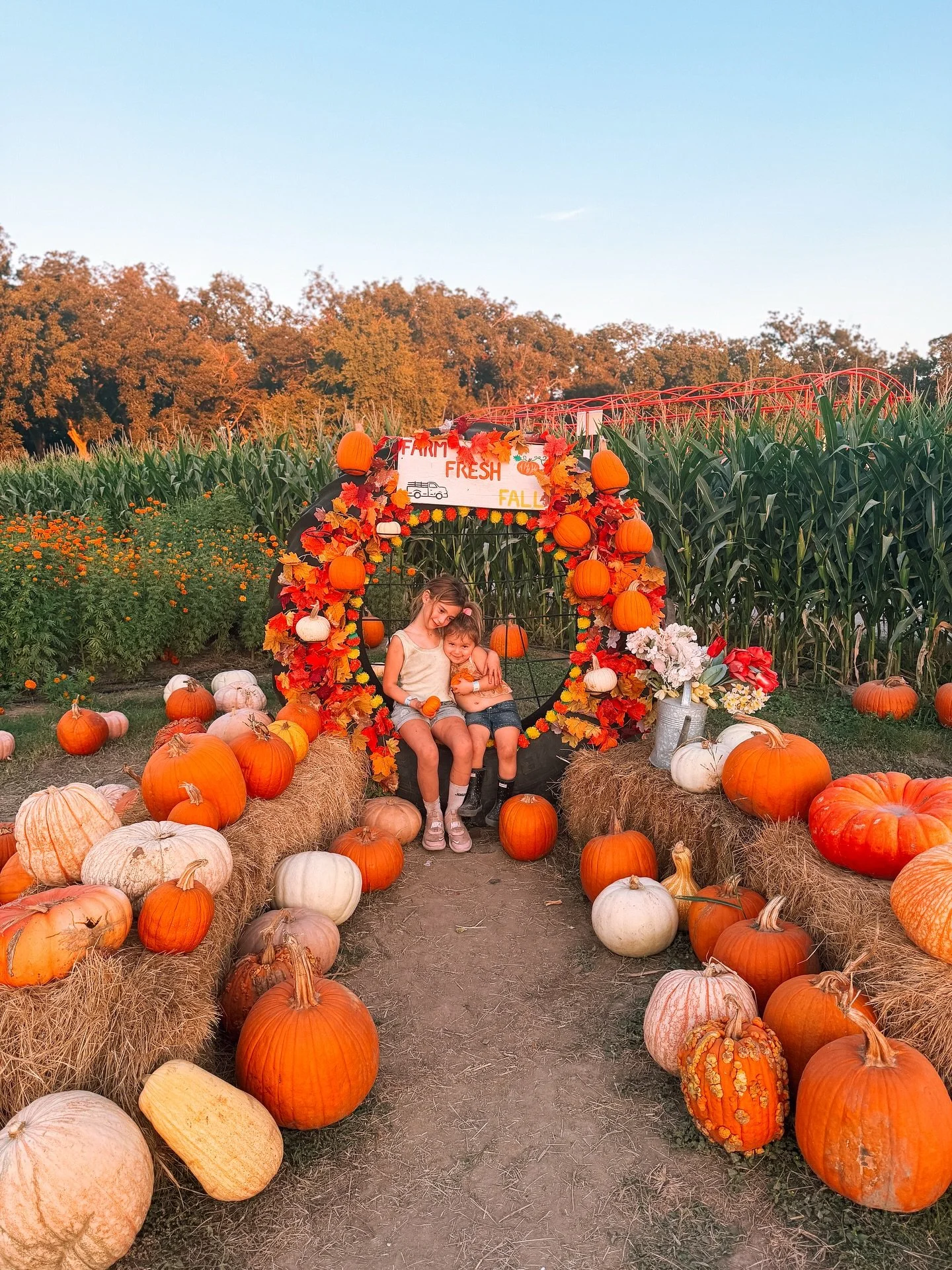 Couldn&rsquo;t let fall pass by without sharing a few more snaps before Hanukkah and Christmas content. 🍁 Please scroll to the end to see just how much fun these kids had. 

@sweeteatsfruitfarm has SO many cool activities for the kids &mdash; think 