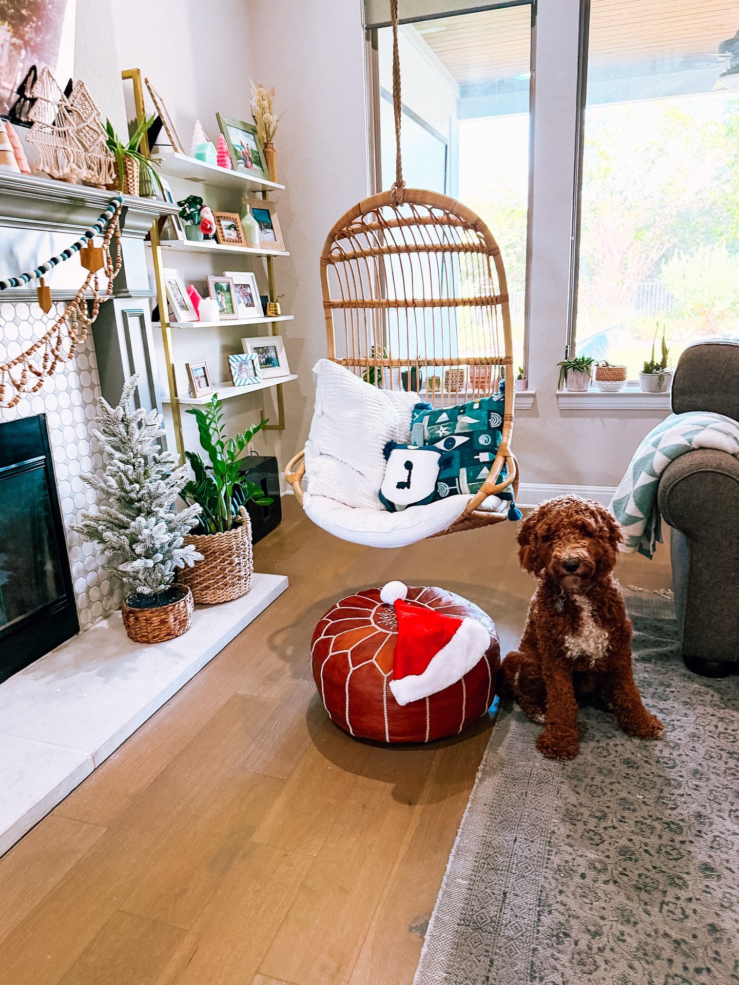 Dog parents, did you put up a Christmas tree when yours was a puppy? 🎄 How did you keep your pup away from it? Chairs? Baby gate? Magic? ✨ 

Trig turns one on Christmas Eve so we are debating if we should move our big tree from its usual spot in our