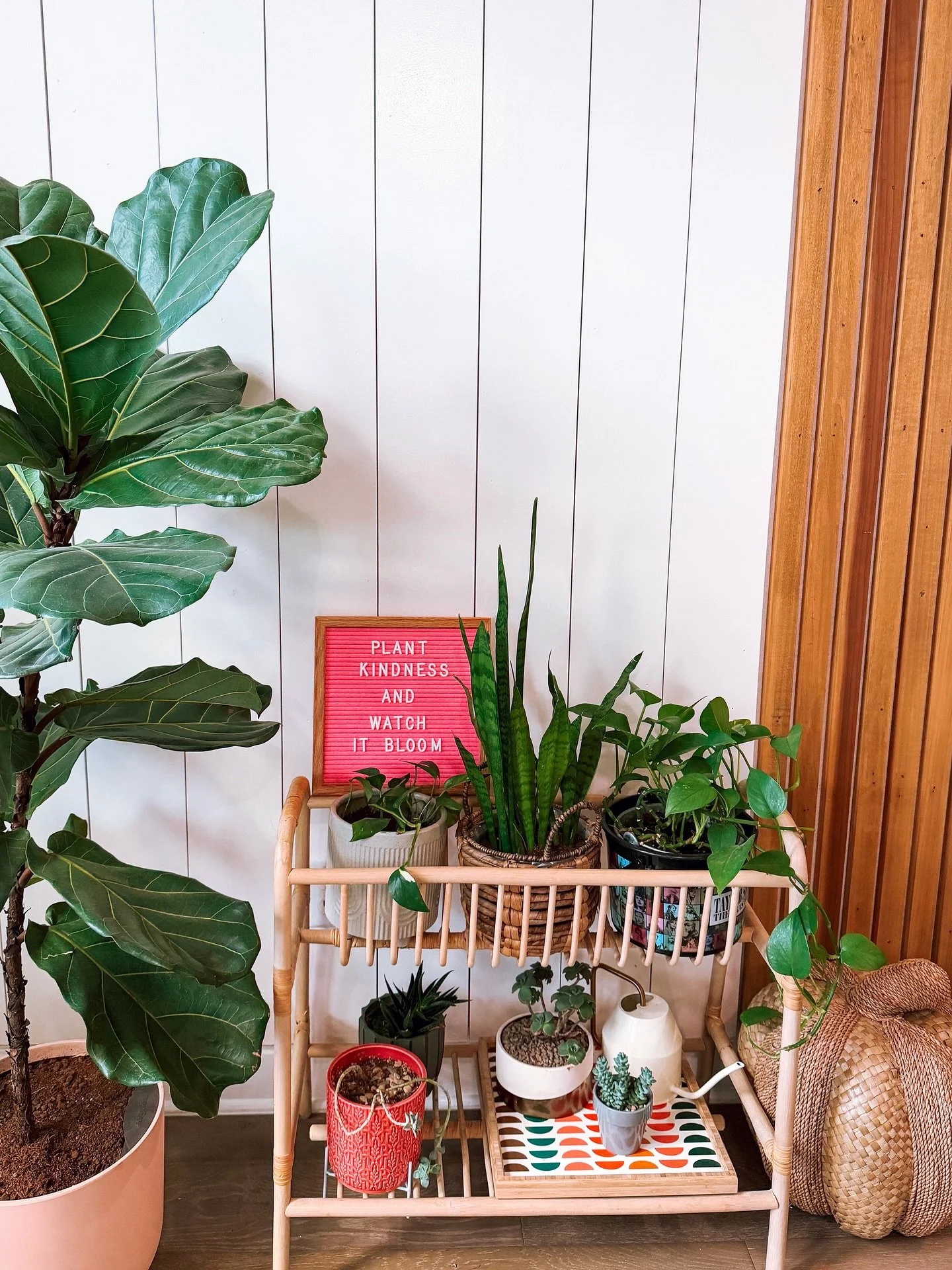 We can&rsquo;t control the world our children grow up in. But we can do our best to fill their roots with kindness and hope they use it to make the world a better place. 🌷

I don&rsquo;t care if I raise the smartest or most athletic kid in the room.