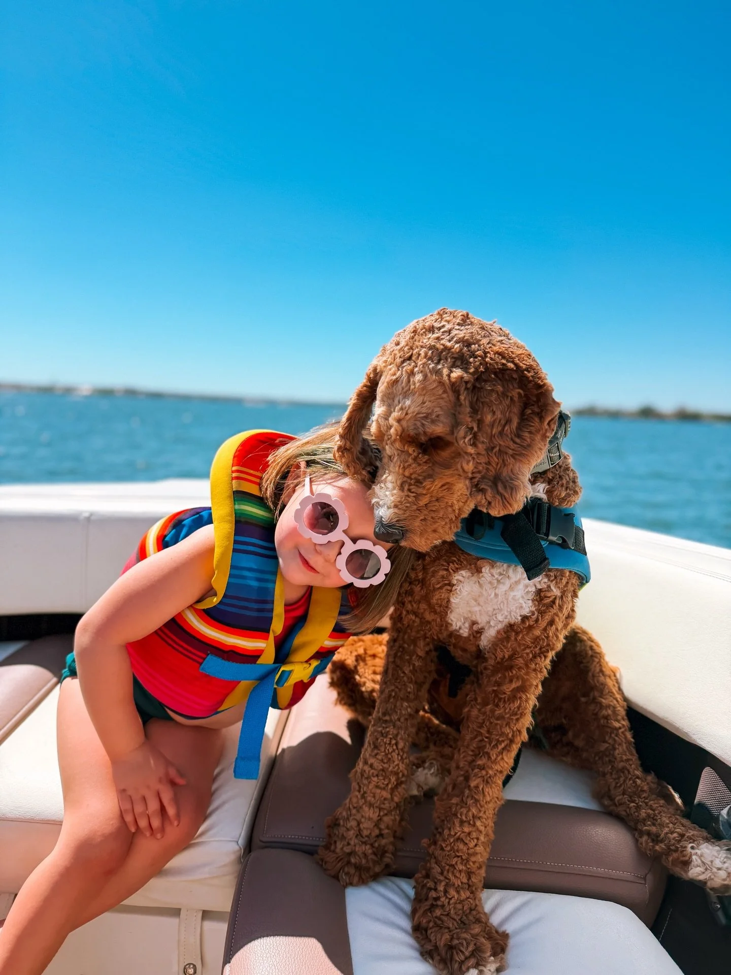 From tiny puppy to full-time best friend and part-time boat dog. 🐾 Swipe to see the one year since Trig joined our crew. 

Not pictured, all the mischief. What is the most mischief your puppy has gotten into? I&rsquo;ll put Trig&rsquo;s in the comme