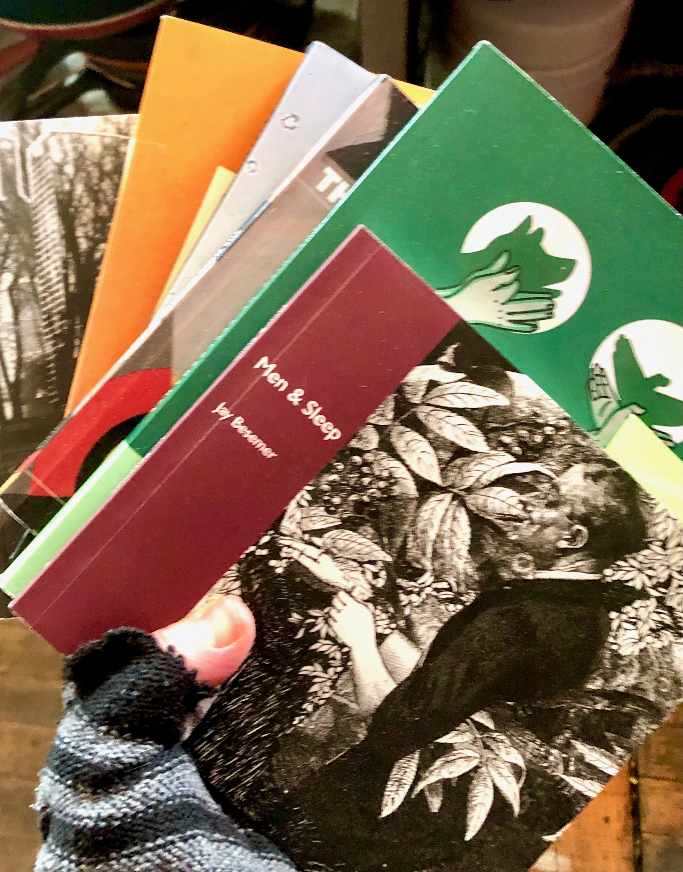 a fanlike spread of books by jay besemer held in the author's gloved left hand.