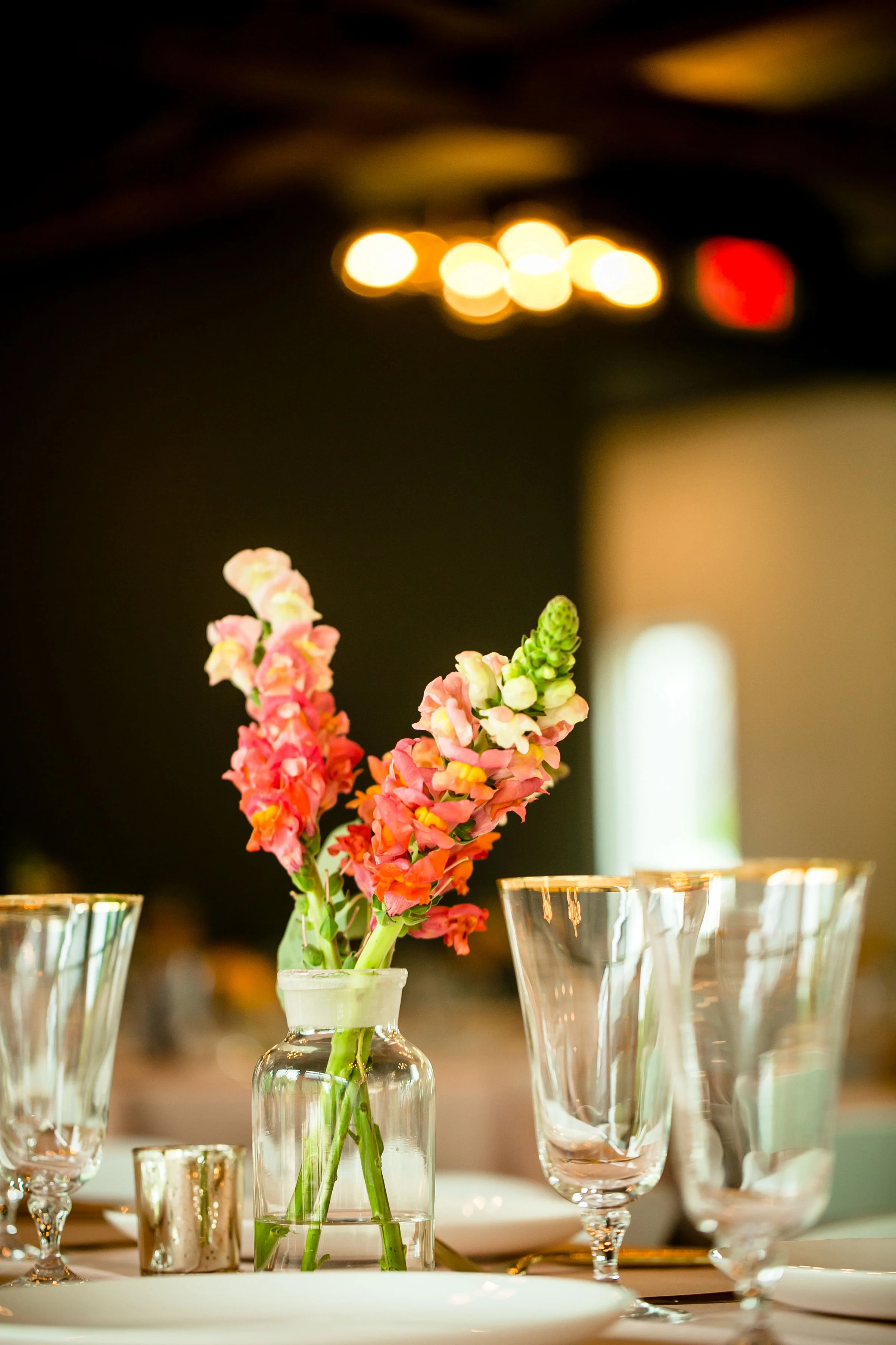 Creatrix_Photography-21.jpg