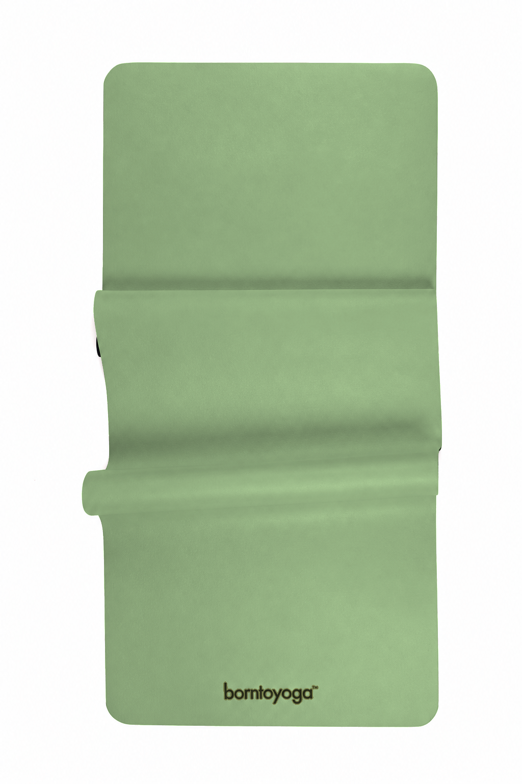 4-salvia_folded_v3-d93d18bf.png