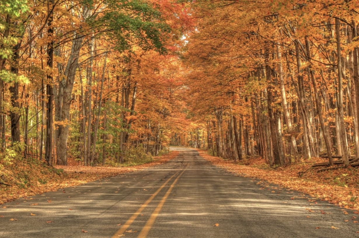 Budgeting for a Destination Wedding in Michigan