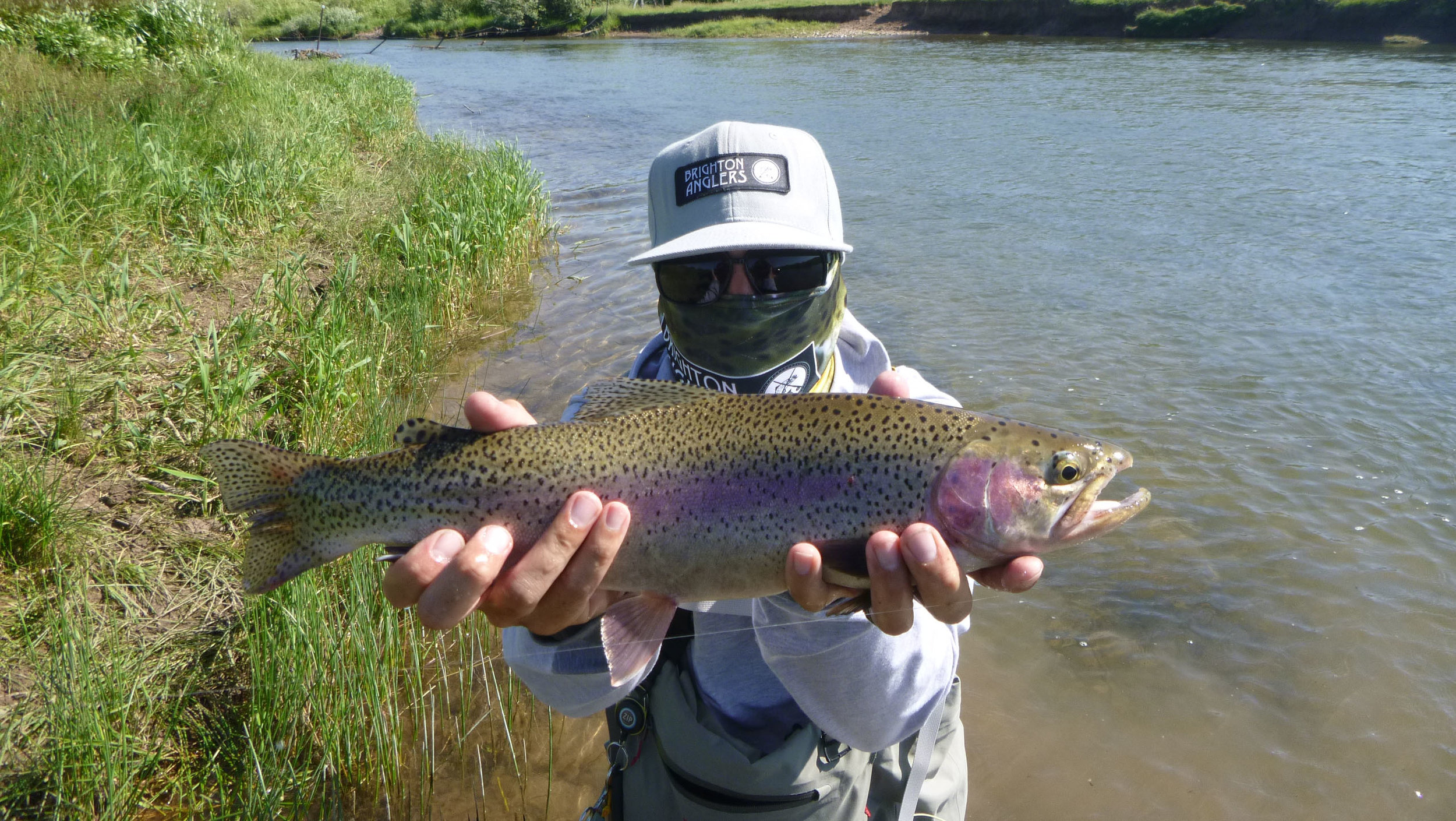 P1040094-crop.jpg