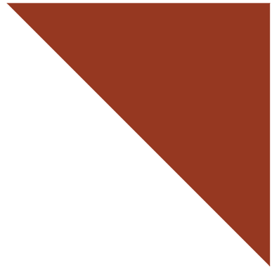 Triangle_Sienna2.png