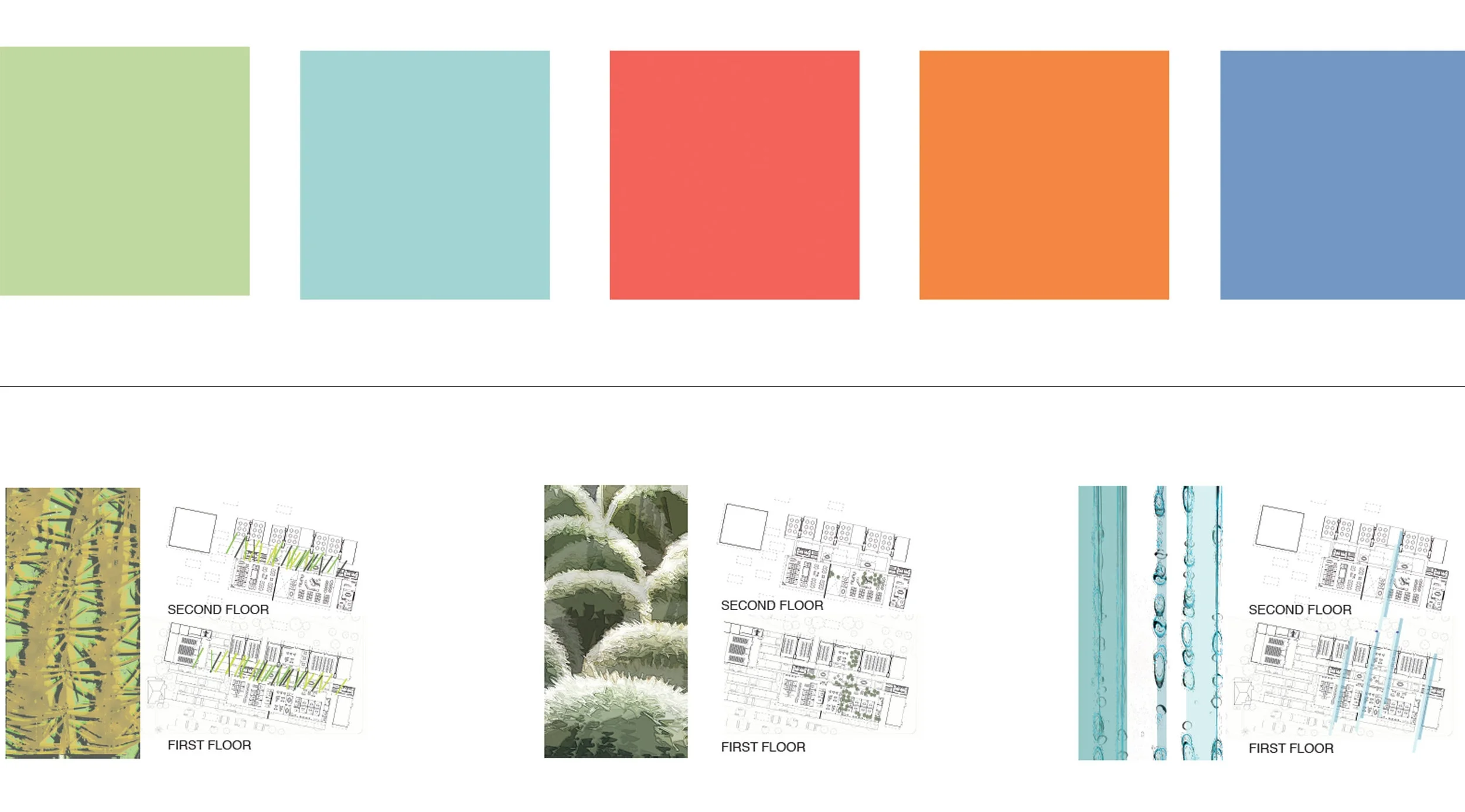 COLOR.jpg