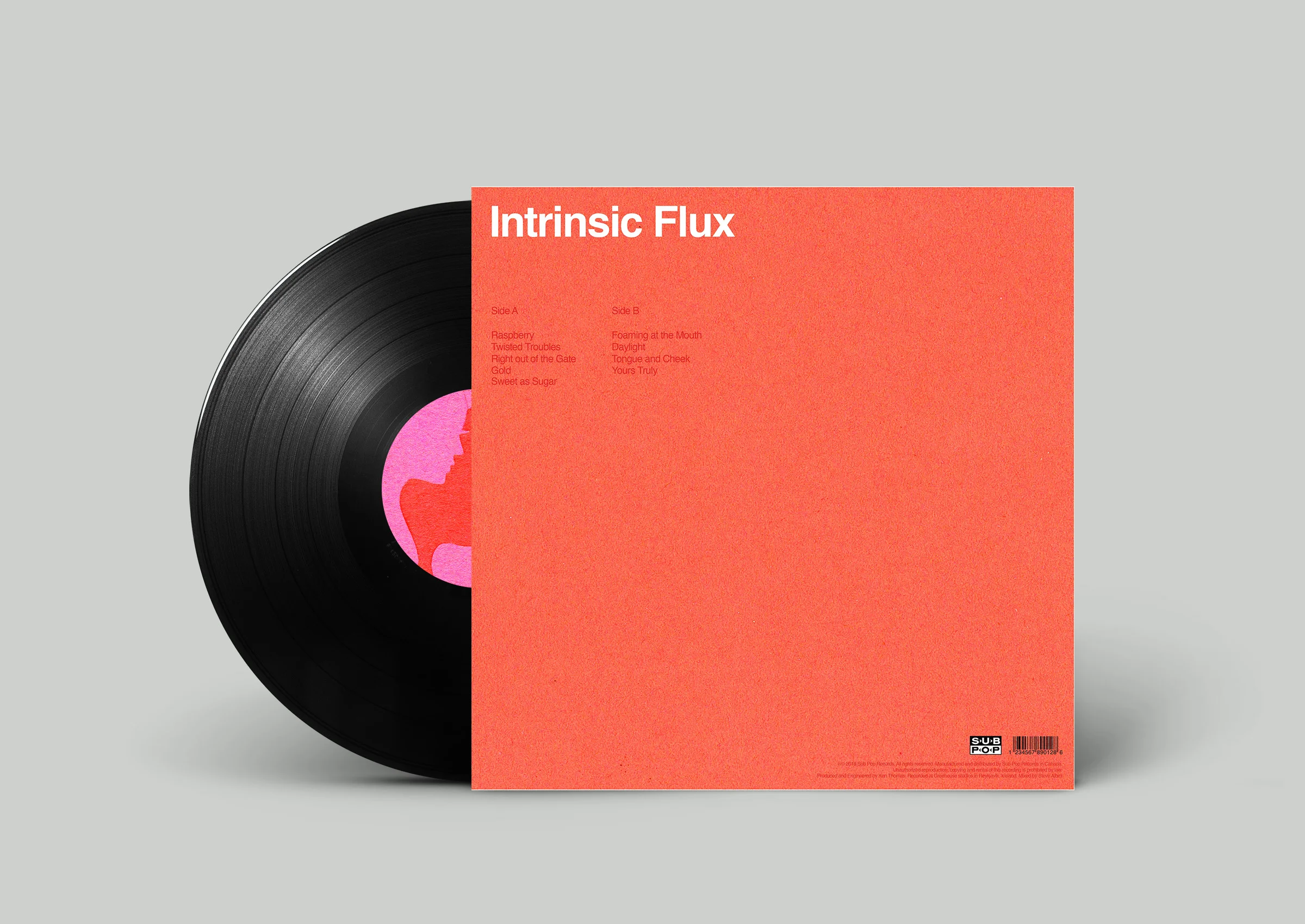 Vinyl Record PSD MockUp2.jpg