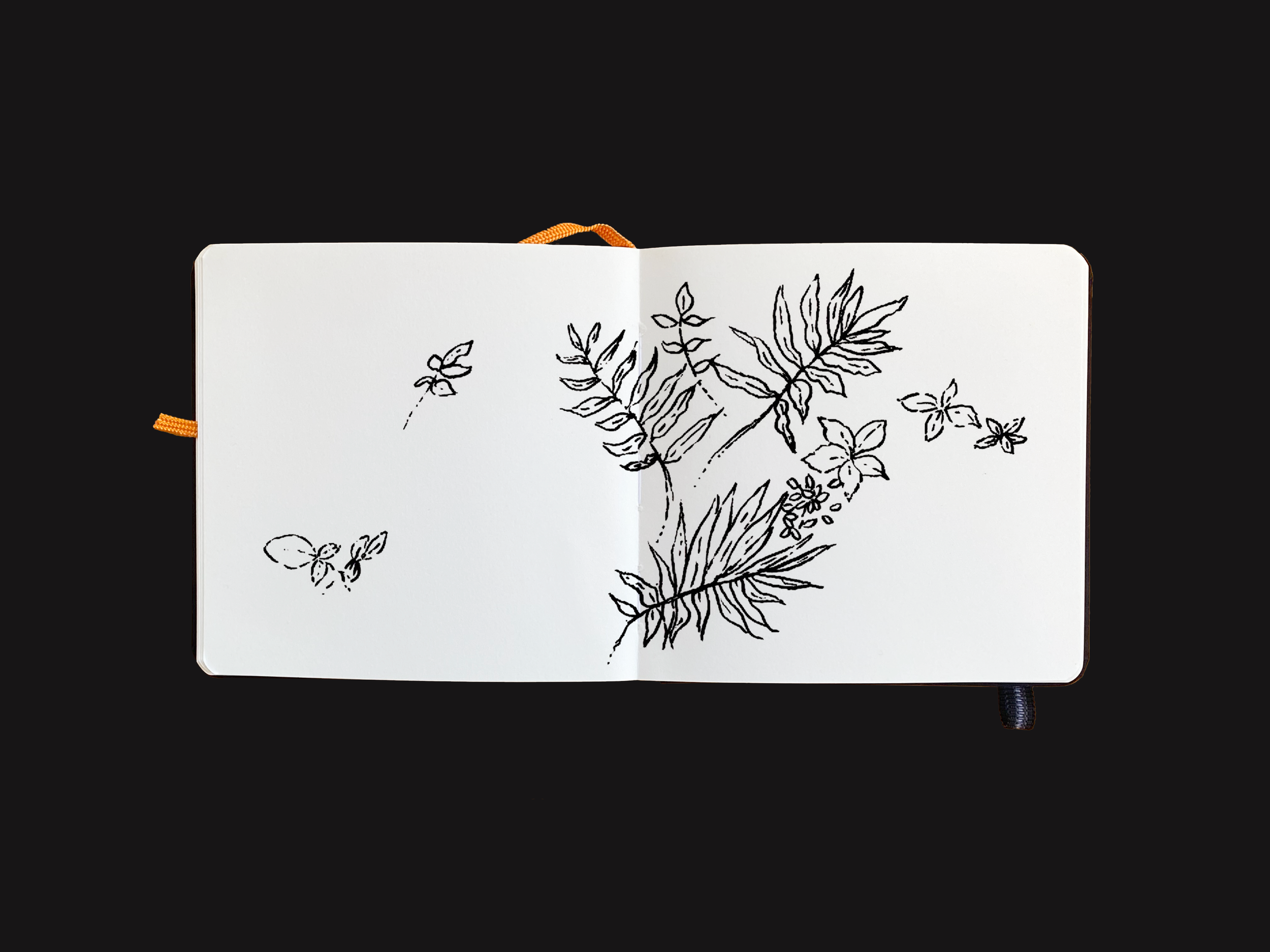 Leaves.png