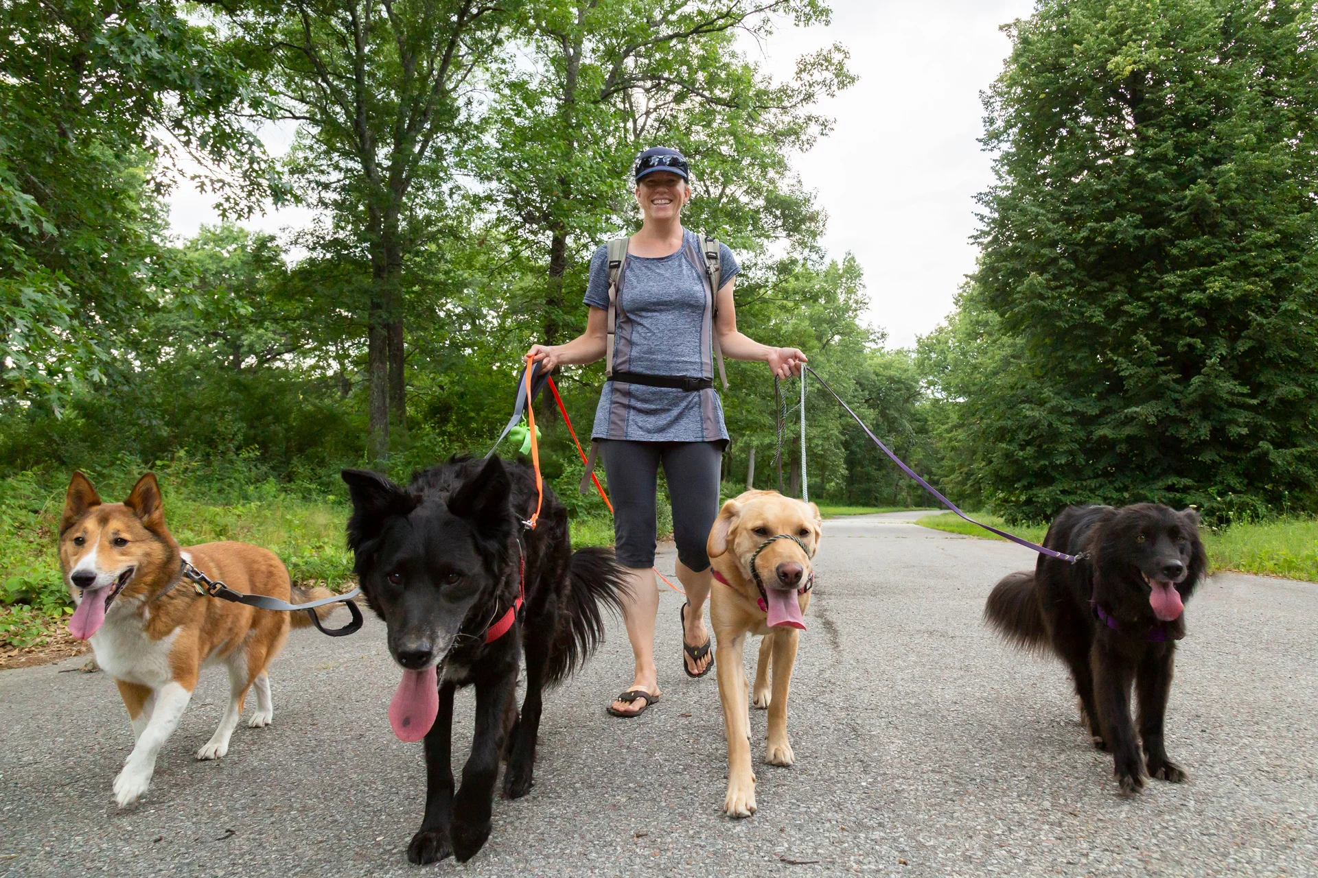 red-rover-ranch-boarding-training-metro-boston-area-007a.jpg