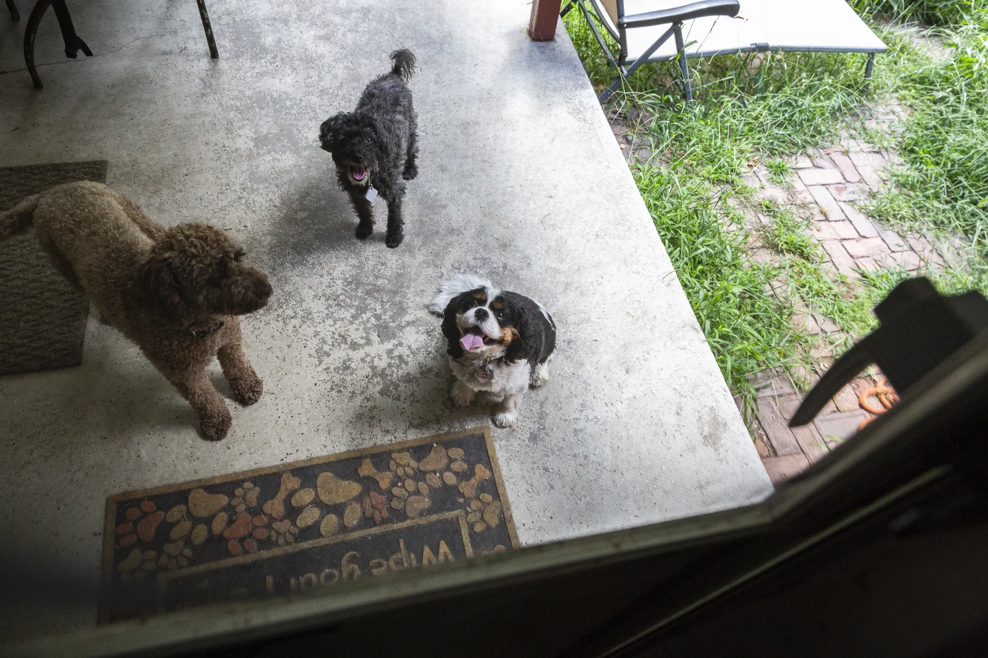 red-rover-ranch-boarding-training-metro-boston-area-249.jpg