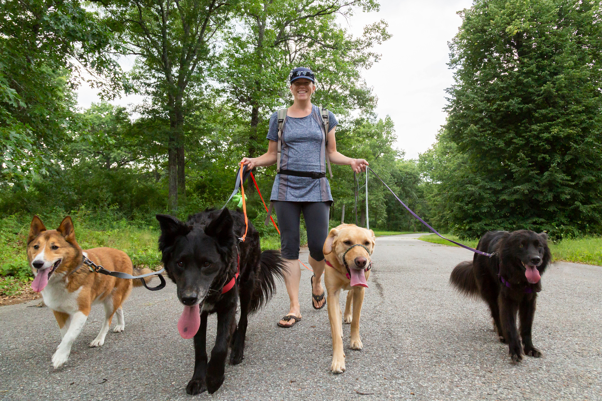 red-rover-ranch-boarding-training-metro-boston-area-007a.jpg