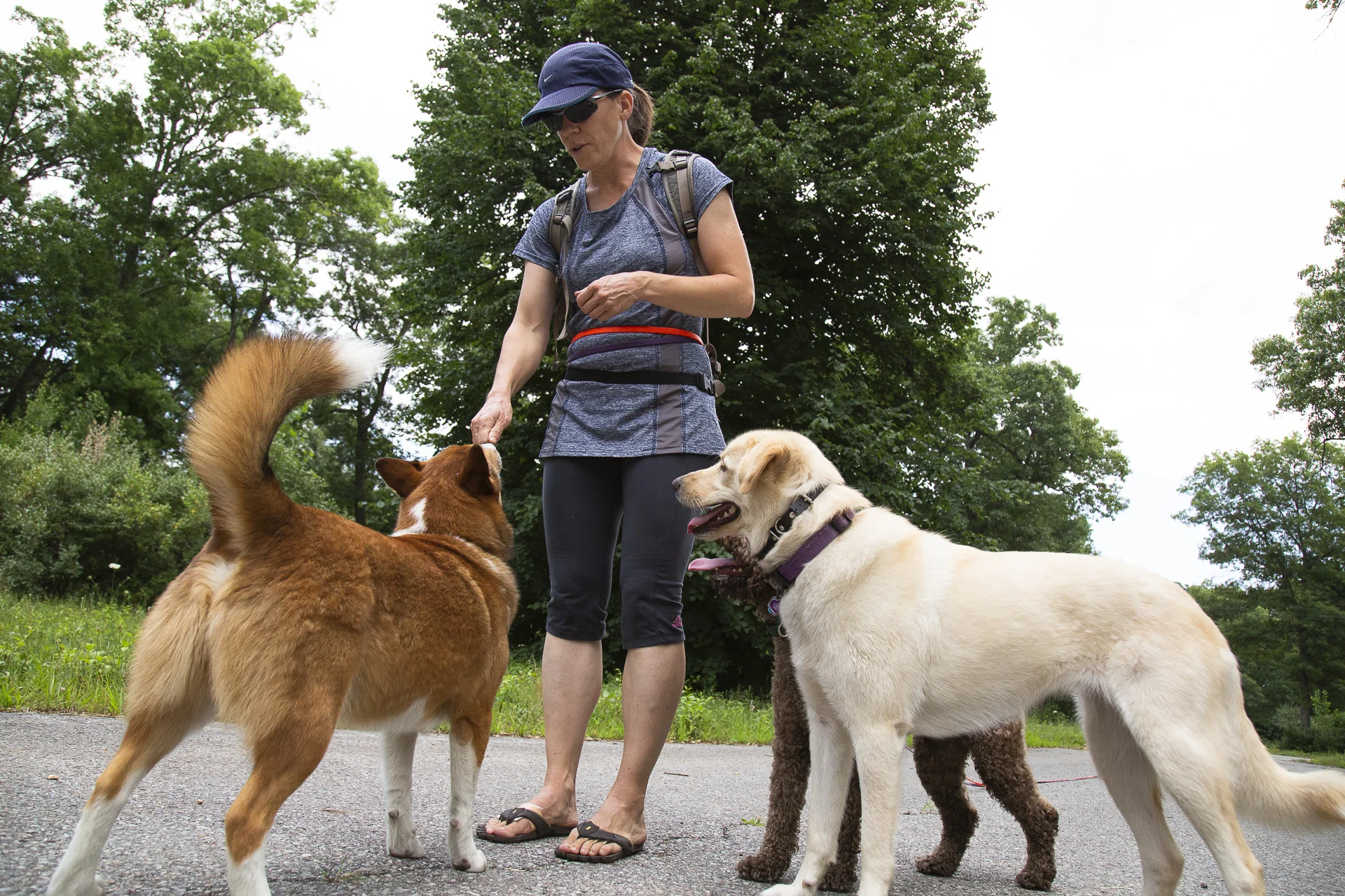 red-rover-ranch-boarding-training-metro-boston-area-084.jpg
