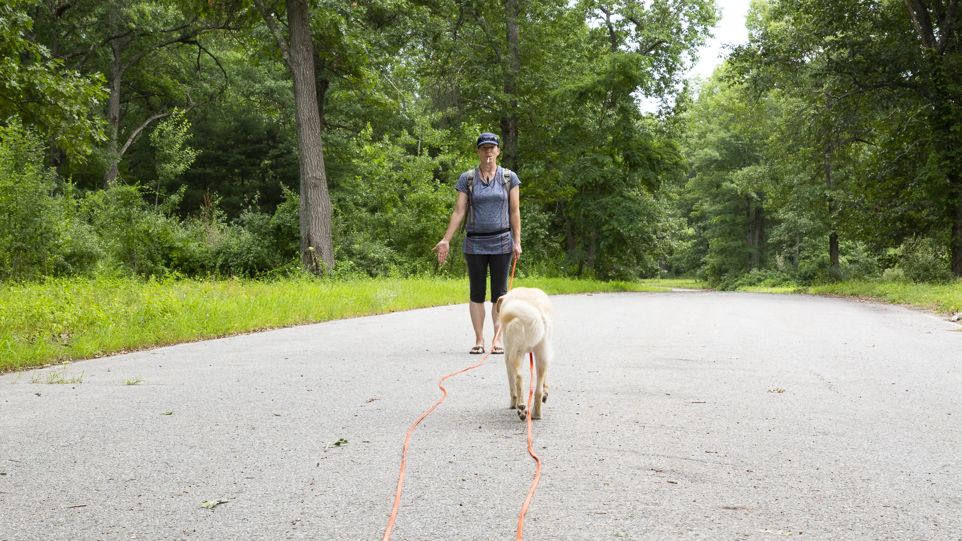 red-rover-ranch-boarding-training-metro-boston-area-088.jpg