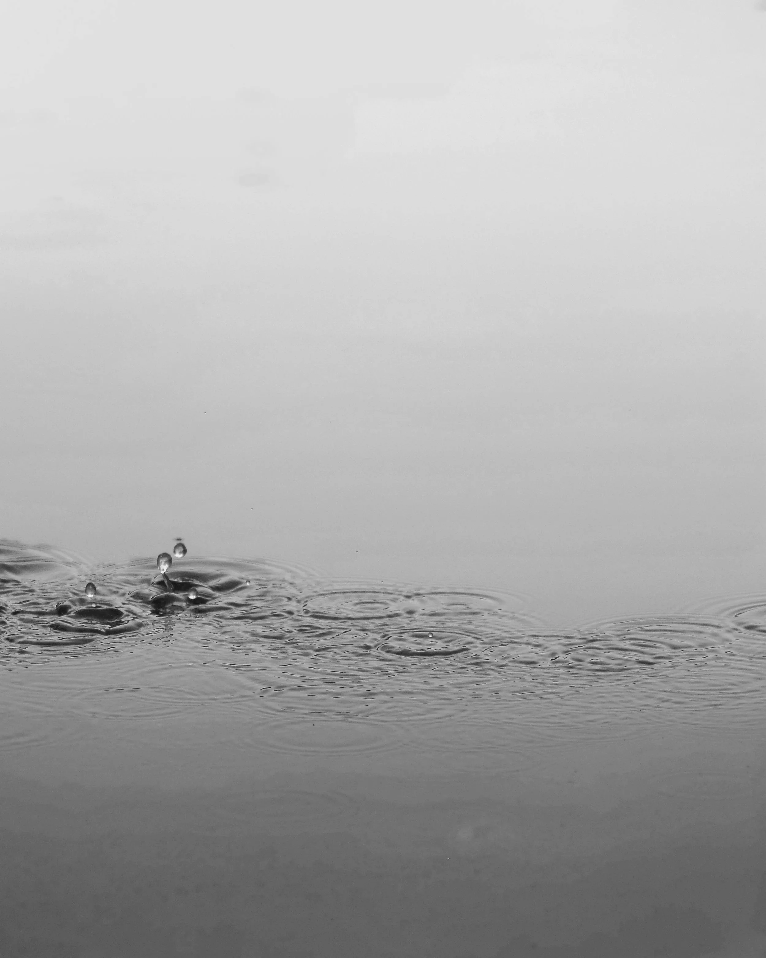 ali-abdul-rahman-g9nsIvIQpCU-unsplash.jpg